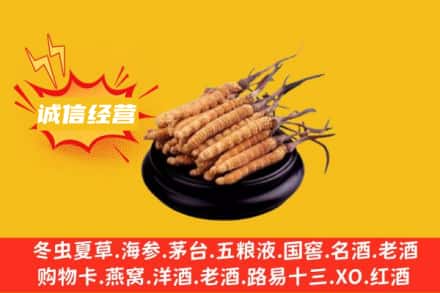 昌吉回收冬虫夏草